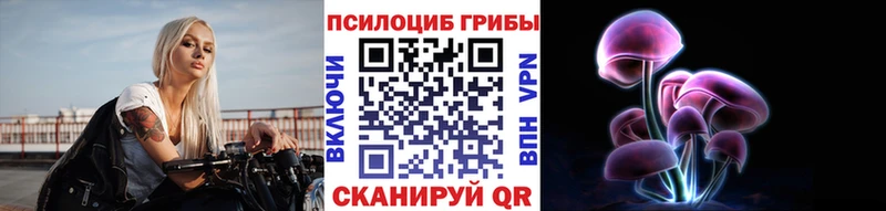 Псилоцибиновые грибы мицелий как найти закладки Печоры